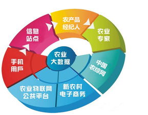 農業市場雖難做，網絡技術賦能，鄉村也能出富豪
